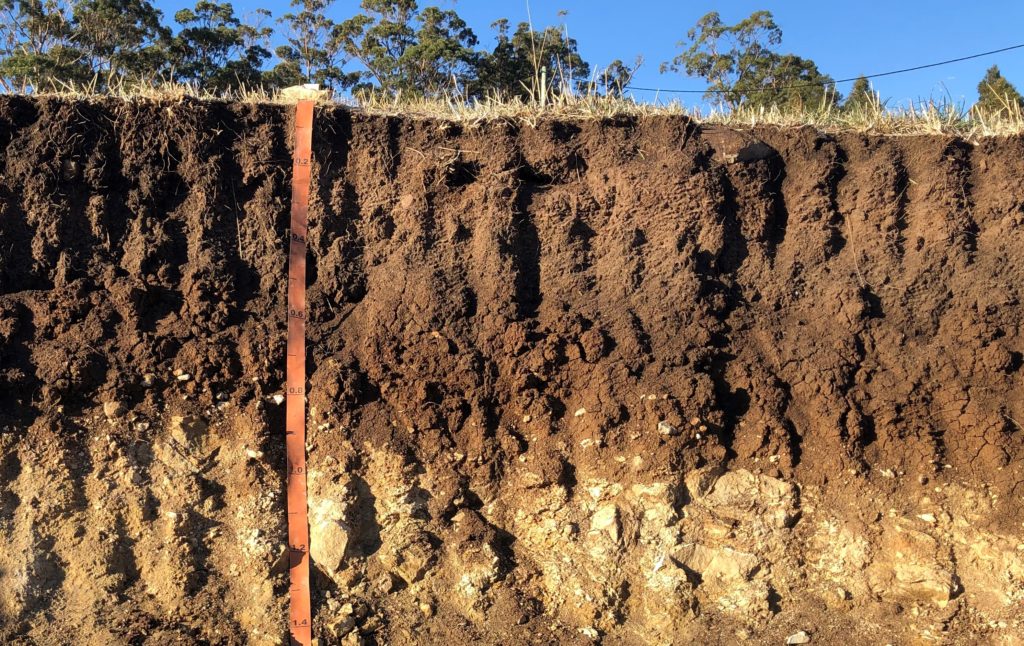 How do soil layers form?